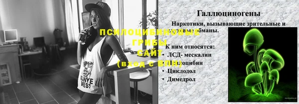 apvp Горняк