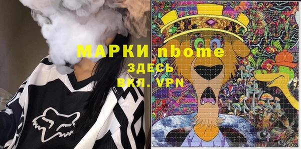apvp Горняк