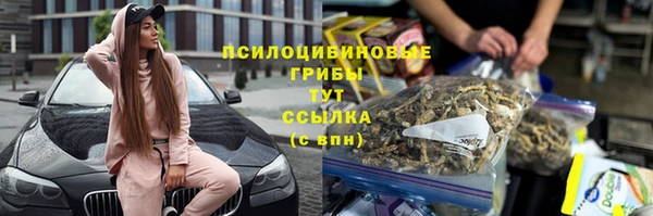 mdma Горнозаводск