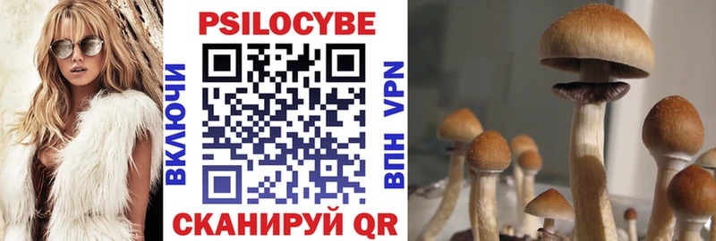 Галлюциногенные грибы MAGIC MUSHROOMS  купить  сайты  Южно-Сахалинск 